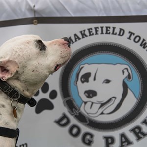 LMT Dog Park (Opening Soon) Photo By Karen Daddona