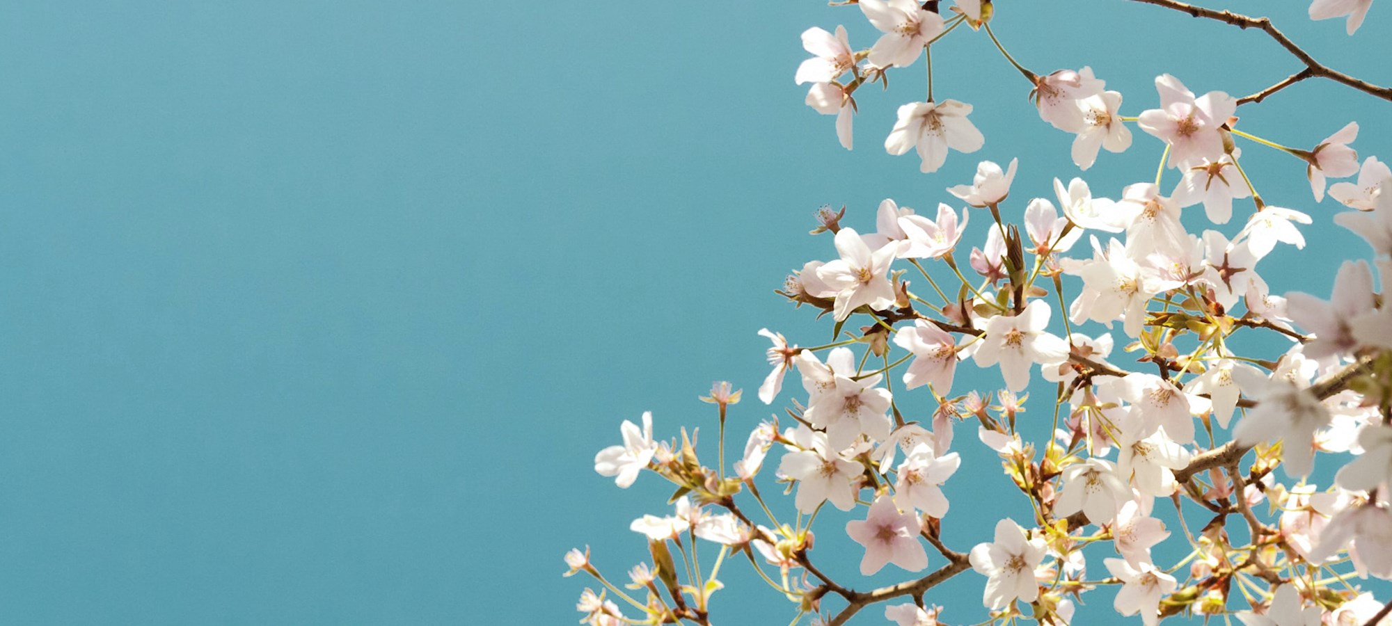 Lower Makefield Township rolls out new E- Newsletter