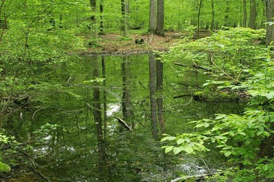 Earth Day Open House at Five Mile Woods Nature Preserve