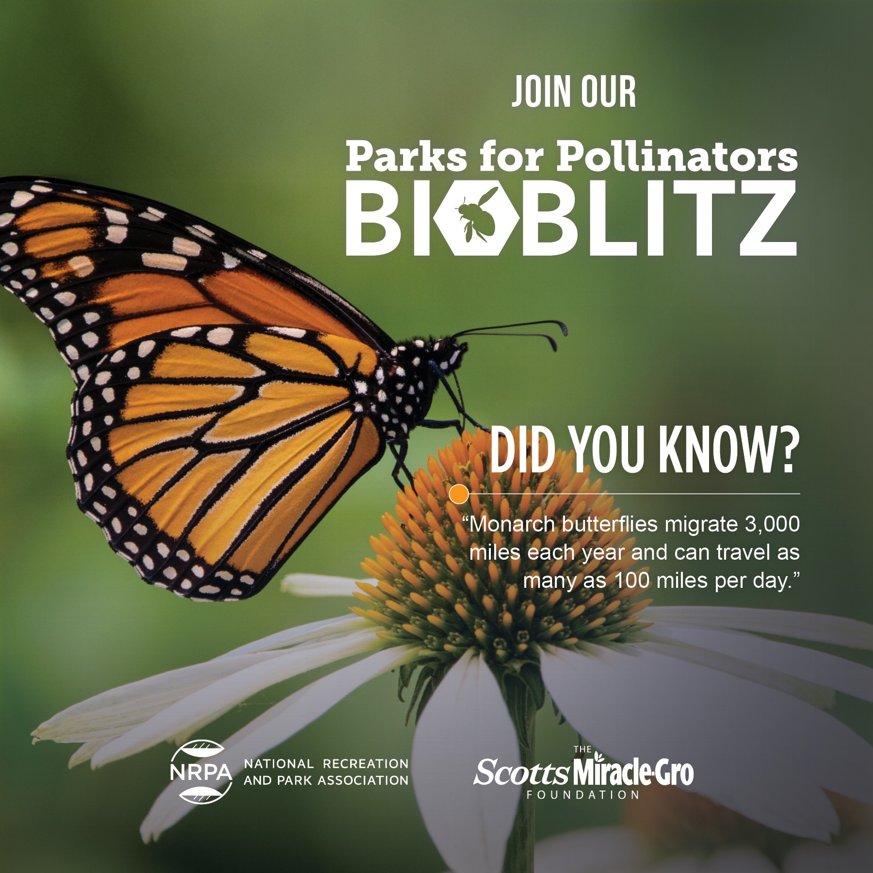 Bioblitz Social Media Graphic 10